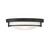 Mflus Two Light Semi-Flush Mount (M60019MBK)