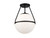 Msemi One Light Semi-Flush Mount (M60054MBK)