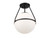 Msemi One Light Semi-Flush Mount (M60054MBK)