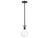 Mpend One Light Pendant (M70063MBK)