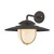 Troy Lighting - B4013-FOR/PBR - One Light Wall Sconce - Greentree - Forged Iron