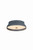 Troy Lighting - C7212-PBR/GSL - LED Flush Mount - Shore - Patina Brass