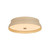 Troy Lighting - C7216-PBR/GCR - LED Flush Mount - Shore - Patina Brass