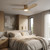 manufacturer_finish:Burnished Brass/Washed White Oak