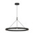 manufacturer_finish:Nightshade Black|manufacturer_glass:Aluminum|light_output:2572.00lm