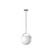 Single One Light Pendant (AC10080SN)