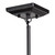 Sunburst Eight Light Chandelier (AC11440)