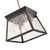 Lucian Four Light Chandelier (AC11851BK)