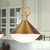Abruzzo One Light Pendant (AC11861BR)
