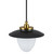 Dahlia One Light Pendant (AC11905BB)