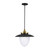 Artcraft - AC11906BB - Three Light Pendant - Dahlia - Brushed Brass