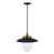 Dahlia Three Light Pendant (AC11906BB)