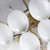 Globo 13 Light Chandelier (AC11994WH)