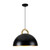 Pantheon One Light Pendant (AC12000BB)
