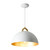 Pantheon One Light Pendant (AC12000BR)