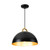 Pantheon One Light Pendant (AC12001BB)