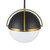 Dahlia One Light Pendant (AC12040BB)