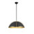 Artcraft - AC12041BB - One Light Pendant - Dahlia - Black Brushed Brass