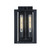 Waterville Two Light Outdoor Wall Mount (AC8791BK)