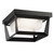 Artcraft - AC9186BK - LED Outdoor Flush Mount - Waterbury - Black