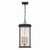 Artcraft - AC9275BK - Three Light Outdoor Pendant - Estate - Black Brass