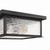 Estate Three Light Outdoor Flush Mount (AC9276BK)