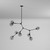 Organic Eight Light Chandelier (JA14028BK)