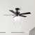 Colette 42" Ceiling Fan (CF42COL5BK)