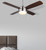 Lawson Ceiling Fan (CF48LAW4BN)
