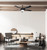 Preston 52" Ceiling Fan (CF52P175BK)