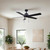 Romy 52" Ceiling Fan (CF52ROM5BK-ES)