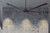 Fanbos 120" Ceiling Fan (CP120BK)