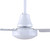 Industrial Fan 60" Ceiling Fan (CP60D11N)