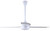 Industrial Fan 60" Ceiling Fan (CP60D11N)