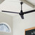 Industrial Fan 60" Ceiling Fan (CP60DW10N)