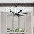 Ezra 72"Ceiling Fan (CP72EZR8BK)