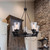 Declan Five Light Chandelier (ICH1097A05BK)