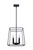 Wexford Four Light Chandelier (ICH763A04BK14)
