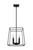 Wexford Four Light Chandelier (ICH763A04BK14)