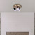Elsee Three Light Track Lighting (ICW1161A03BKG10)