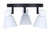 Radley Three Light Track Lighting (ICW1163A03BW10)