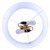 Clara Two Light Floor Lamp (IFL2122B61GD)