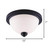 Portia Two Light Flush Mount (IFM326A13BK)