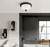 Portia Two Light Flush Mount (IFM326A13BK)