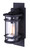 Canarm - IOL341BK - One Light Outdoor Lantern - Duffy - Metal