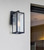 Alaina One Light Outdoor Wall Mount (IOL711BK)