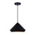 Canarm - IPL1020A13BK - One Light Pendant - Byck - Black