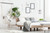 Carli One Light Pendant (IPL1066A01BNB)