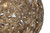 Kora One Light Pendant (IPL1184A01AB19)