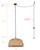 Hanoi One Light Pendant (IPL2109B01BK)